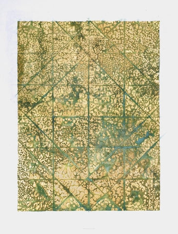 Transect Embellished Canvas Art | - The Quality Framing Company & Imaging Services