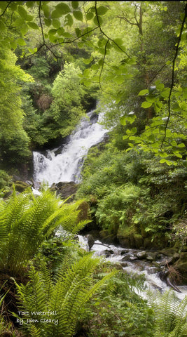 TORC WATERFALL SPRING - The Quality Framing Company & Imaging Services